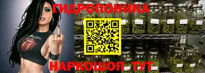 гашик Абакан