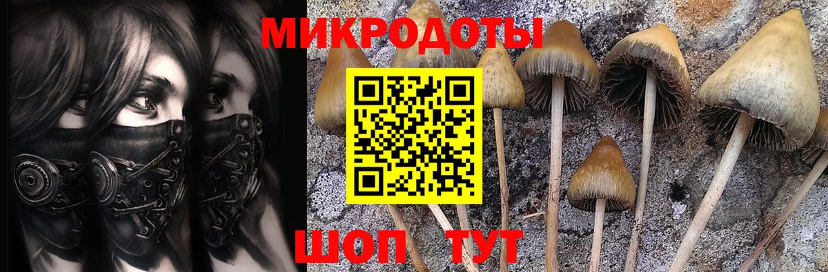 Псилоцибиновые грибы Cubensis  Галлюциногенные грибы прущие грибы  Лениногорск  наркота  Вход с VPN 